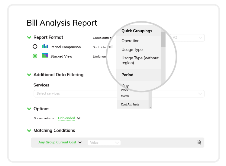 bill-analysis-report-gui-option-2